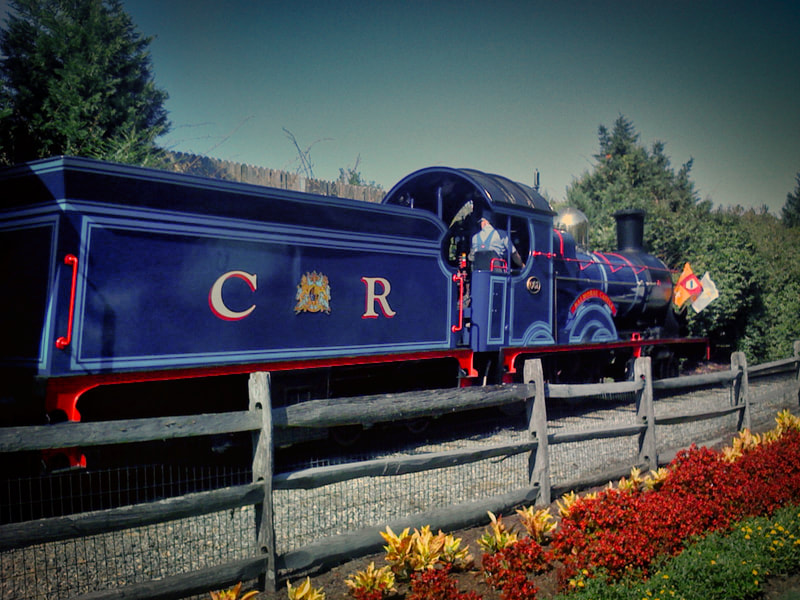 Blue Steam Locomotive with "CR" written on it passed red and yellow flowers. 