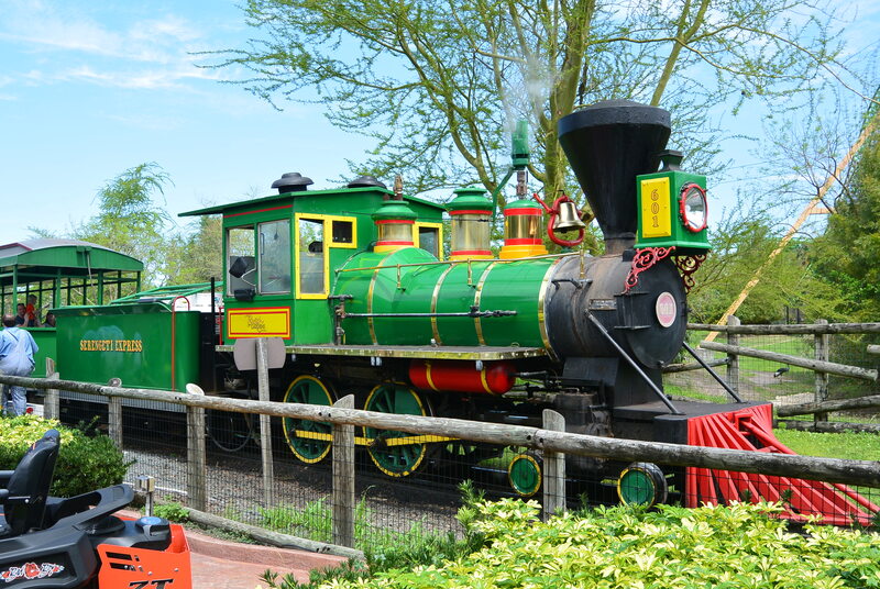 Green and Yellow Steam Locomotive behind a wooden fence. 