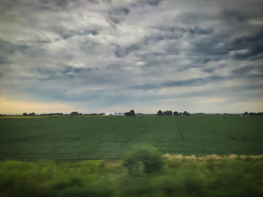 Illinois Farmland. 
